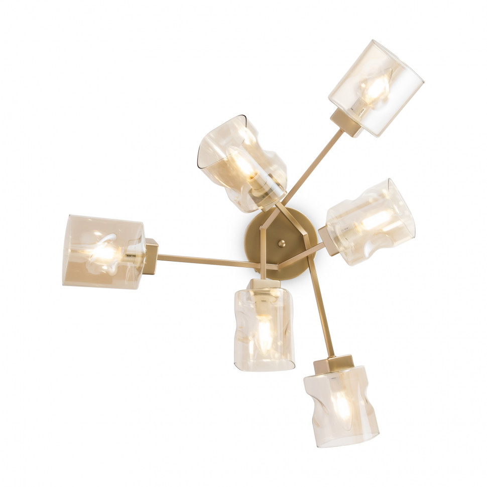 Потолочный светильник Freya FR5095CL-06G