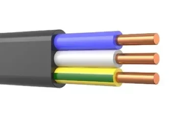 Кабель силовой ГОСТ КОАКСИАЛ ВВГ-Пнг(A)-LS 3х2,5ок (N, PE)-0,66