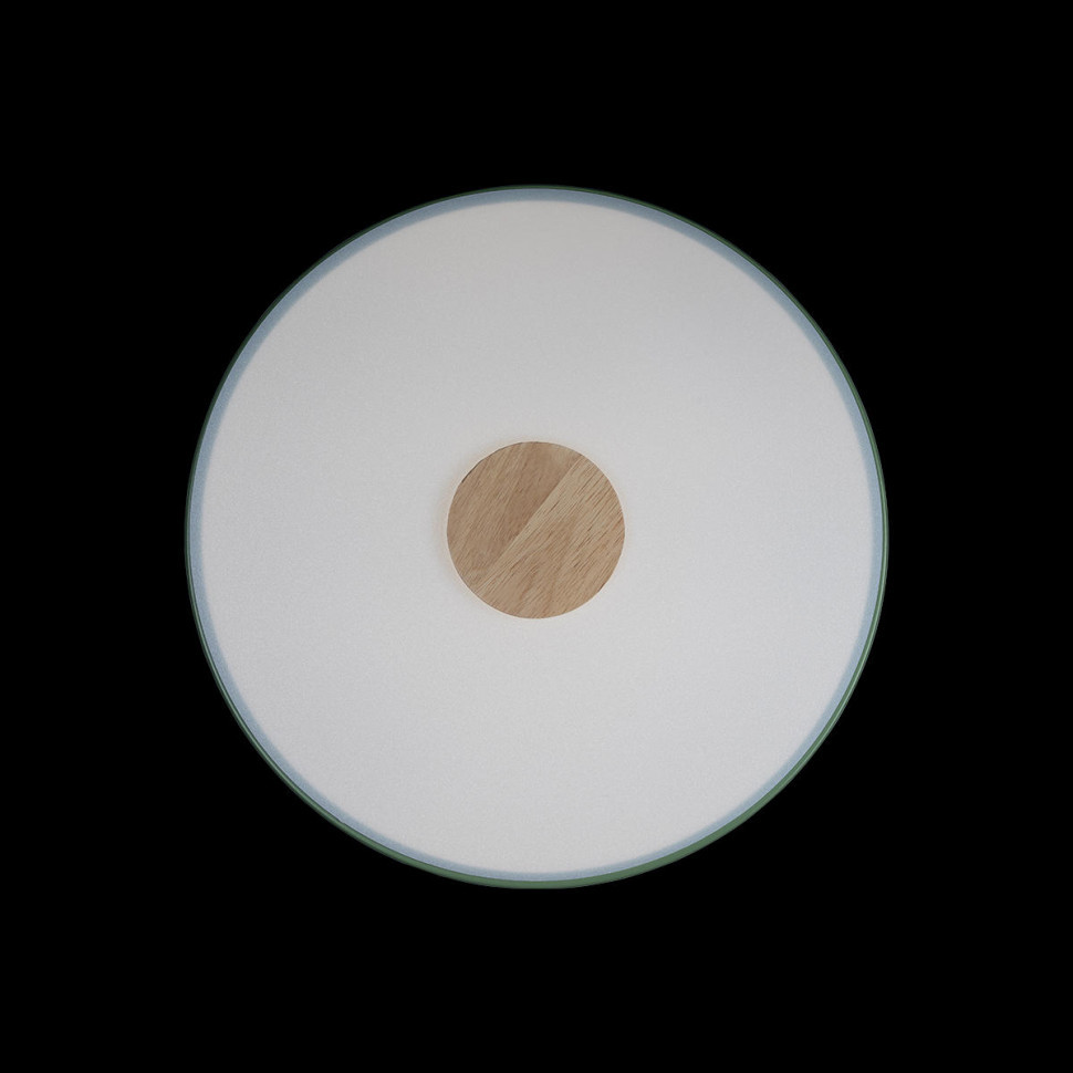 Потолочный светильник Loft IT AXEL 10003/24 Green