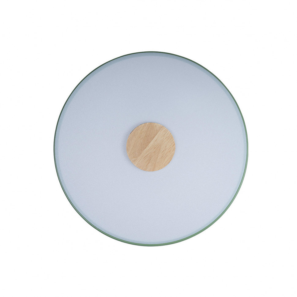 Потолочный светильник Loft IT AXEL 10003/24 Green