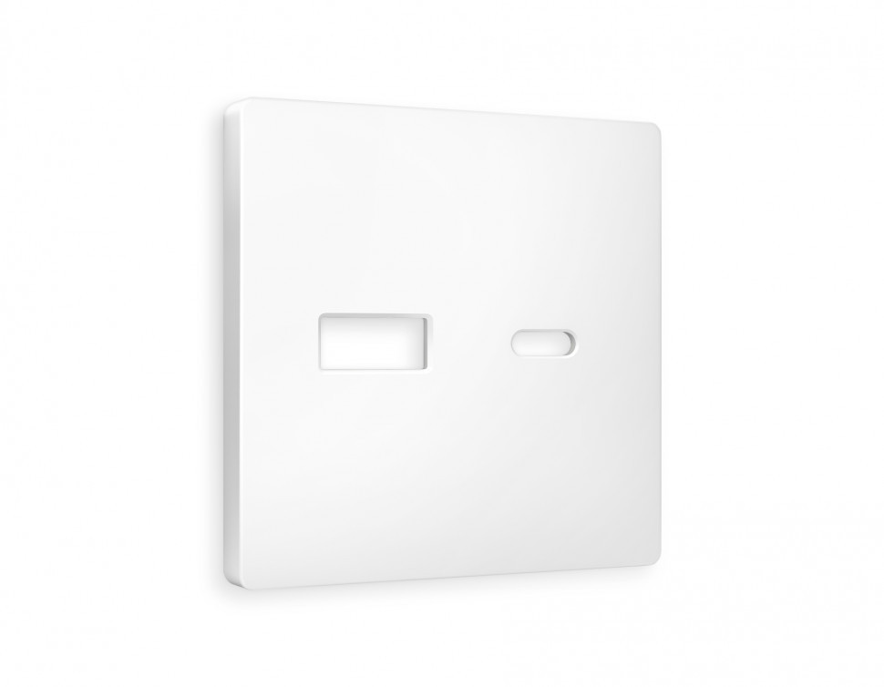 Лицевая панель ALFA (Белый матовый) для розетки 2USB A+C QUANT AP1310