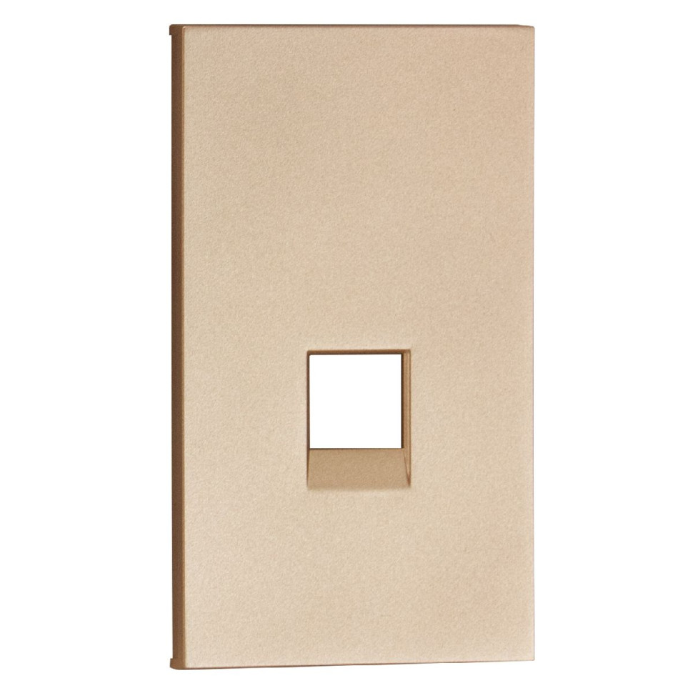 Интернет RG-45/RG11 накладка 2 модульная цвет-шампань матовый MEITON ACH07M2 