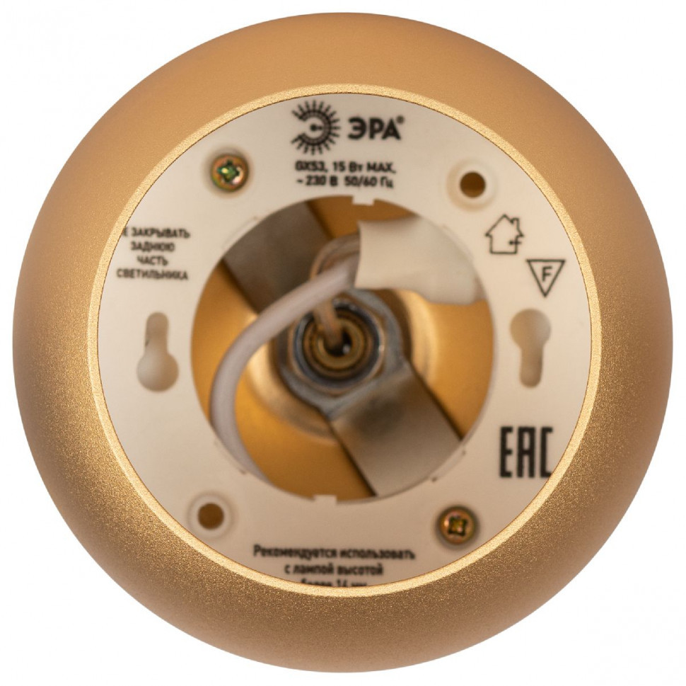 Подвесной светильник Эра PL21 GD Б0058506