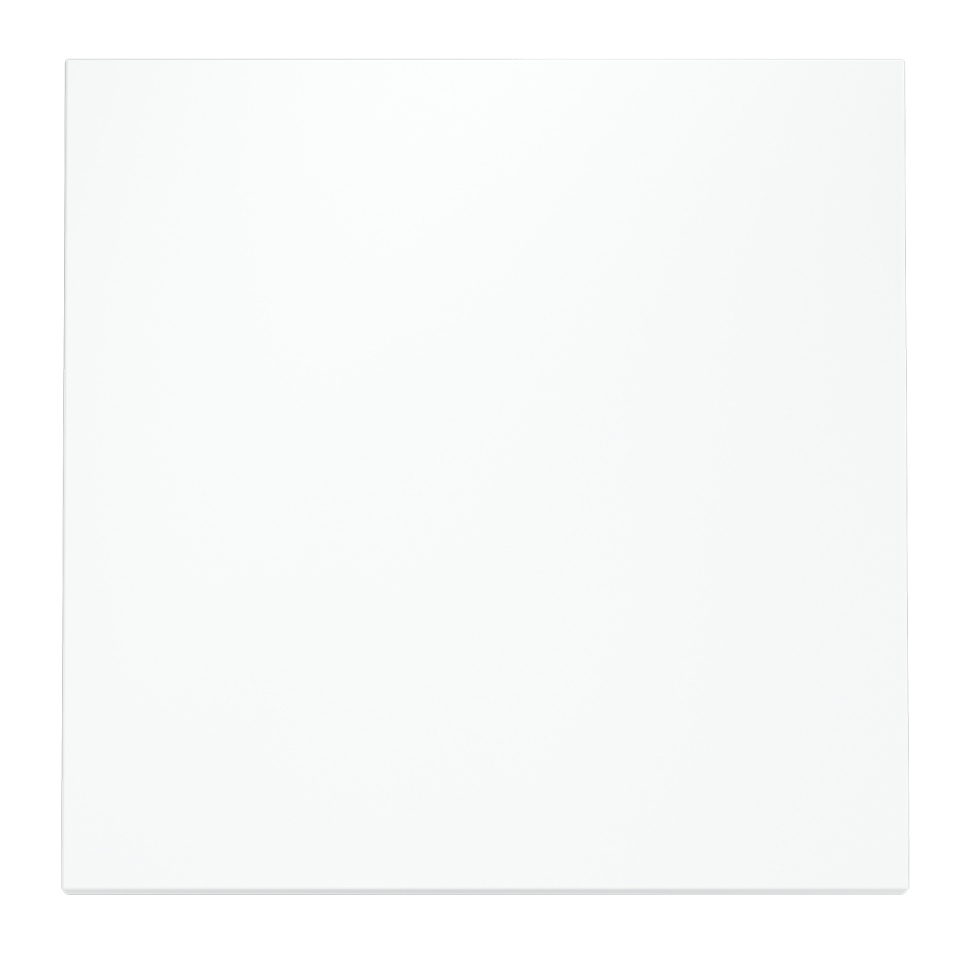 Клавиша для выключателя/переключателя одноклавишного, S70 (белый матовый)