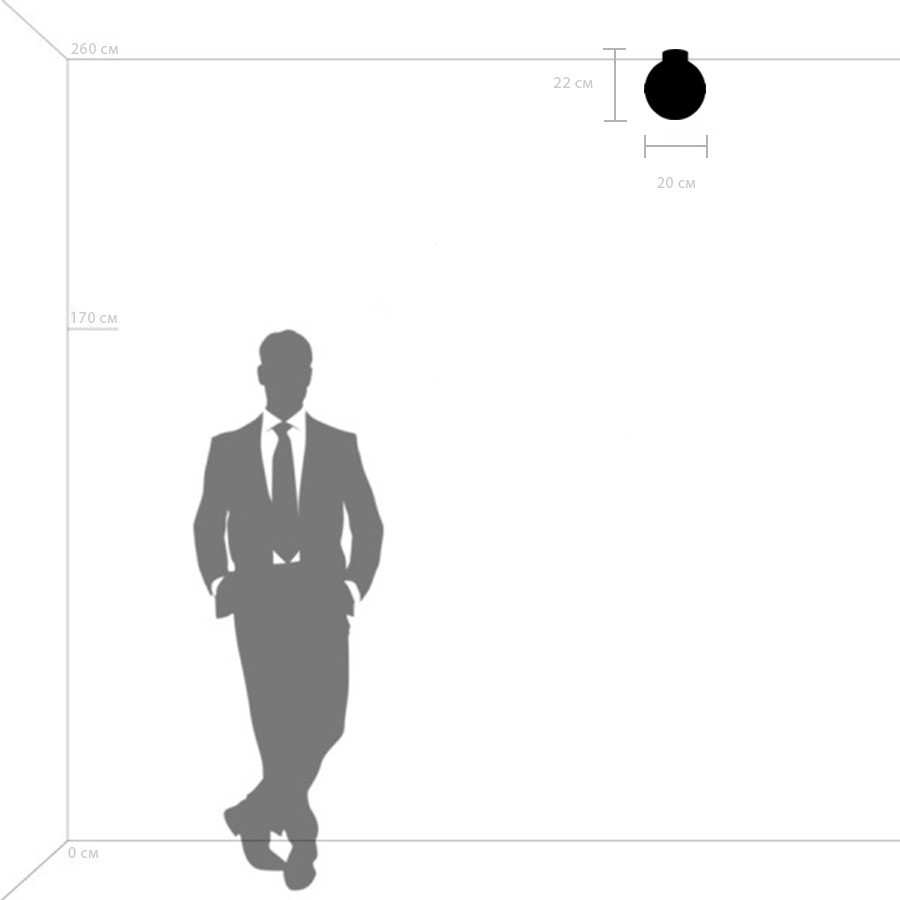 Потолочный светильник Lightstar Globo 812117