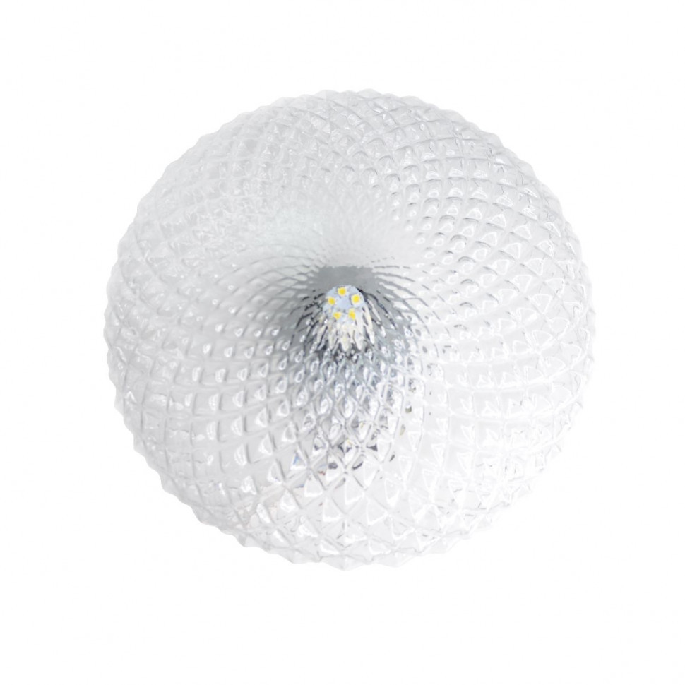 Настенно-потолочный светильник Elvan NLS-509R/1-E27-Cl