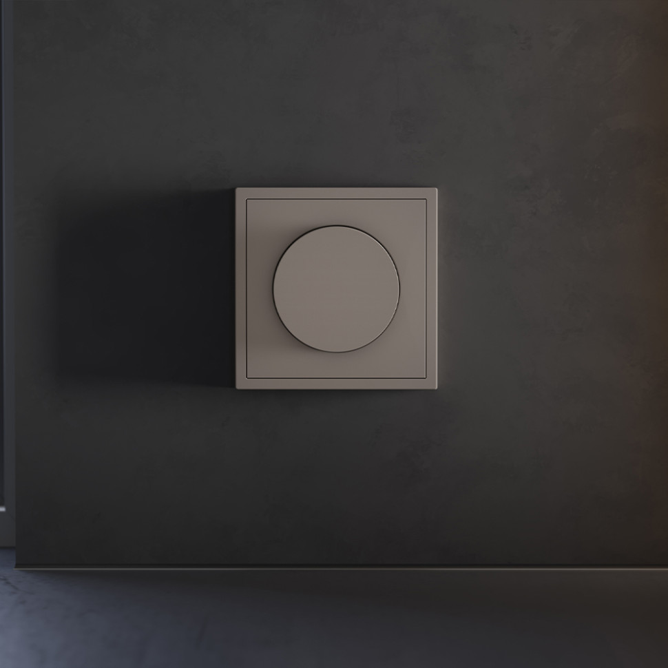 Накладка для светорегулятора поворотно-нажимного, S70 (капучино)