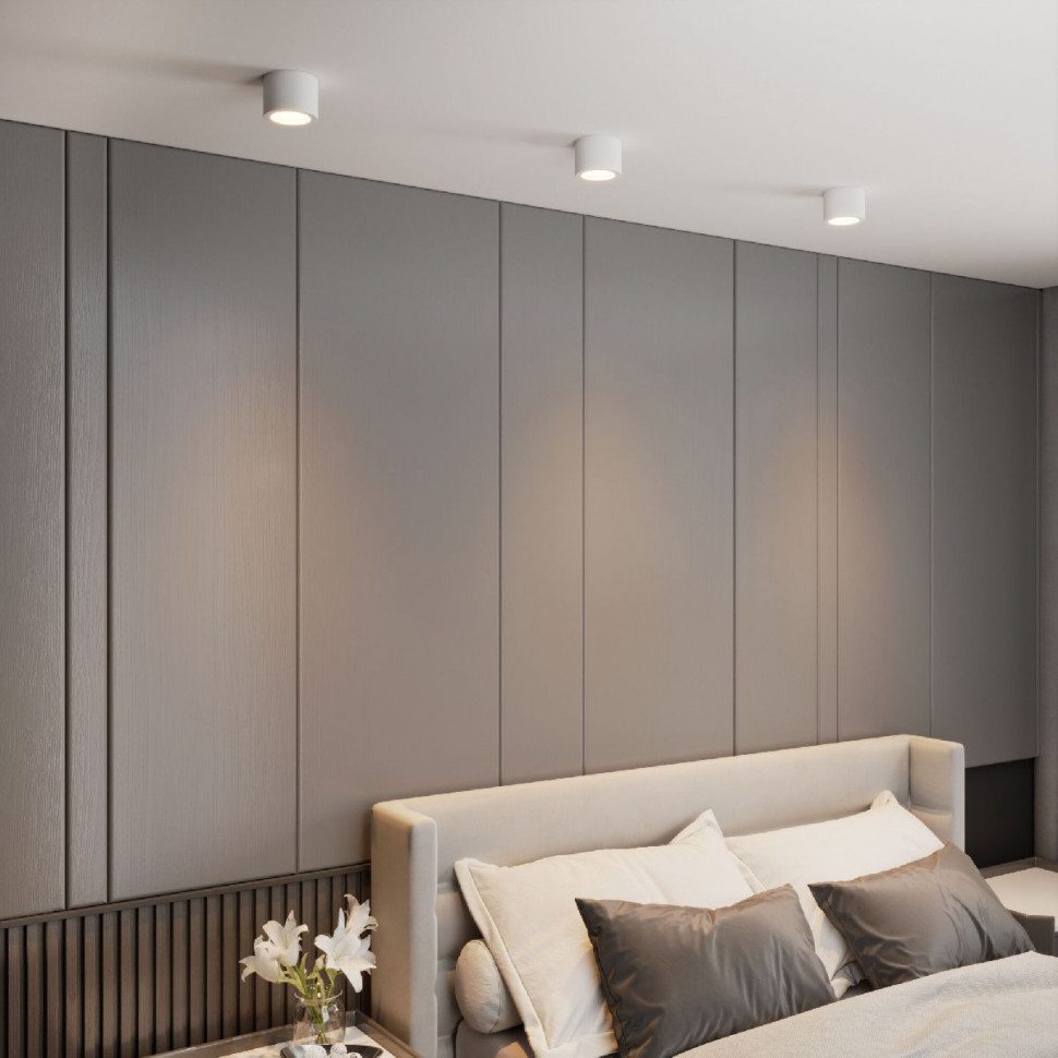 Накладной светильник Elektrostandard Dlr026 4690389196683 a063935