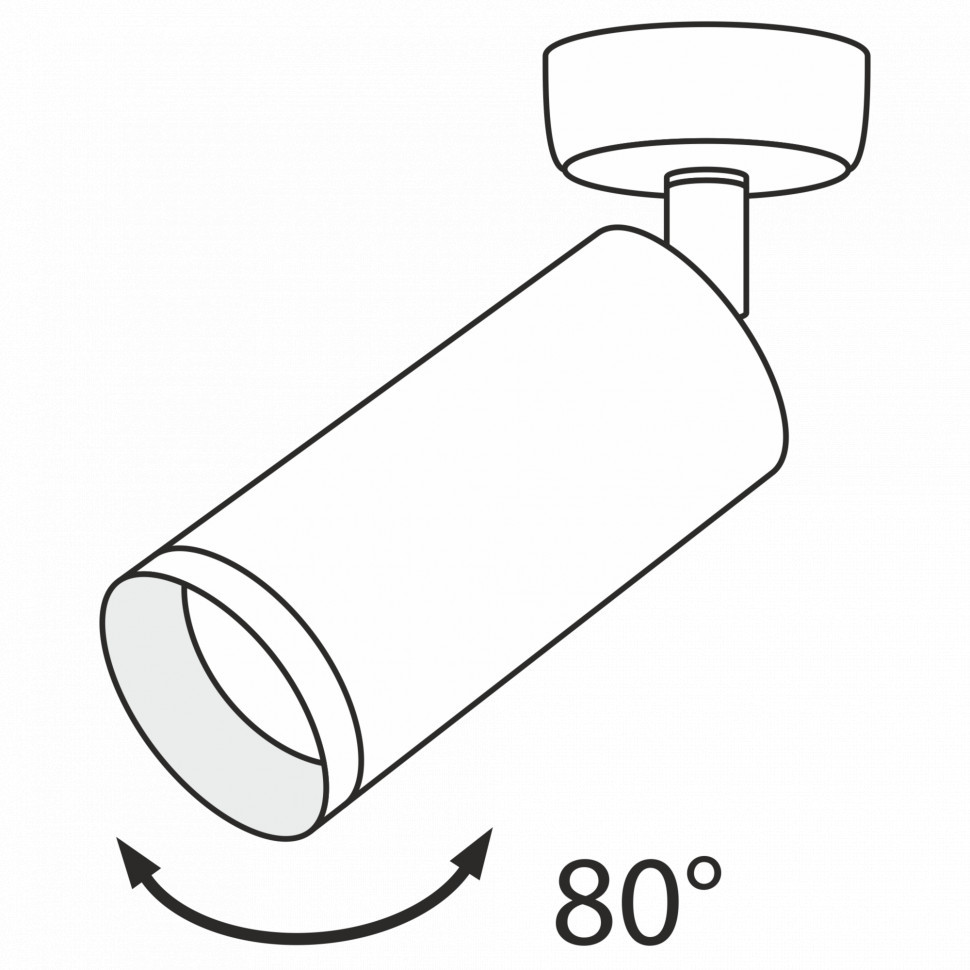 Потолочный светильник Technical C017CW-01MG