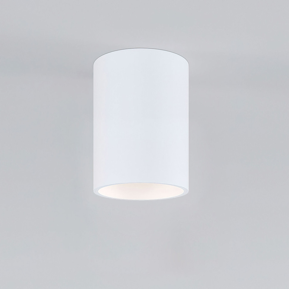 Накладной потолочный светильник 25011/01