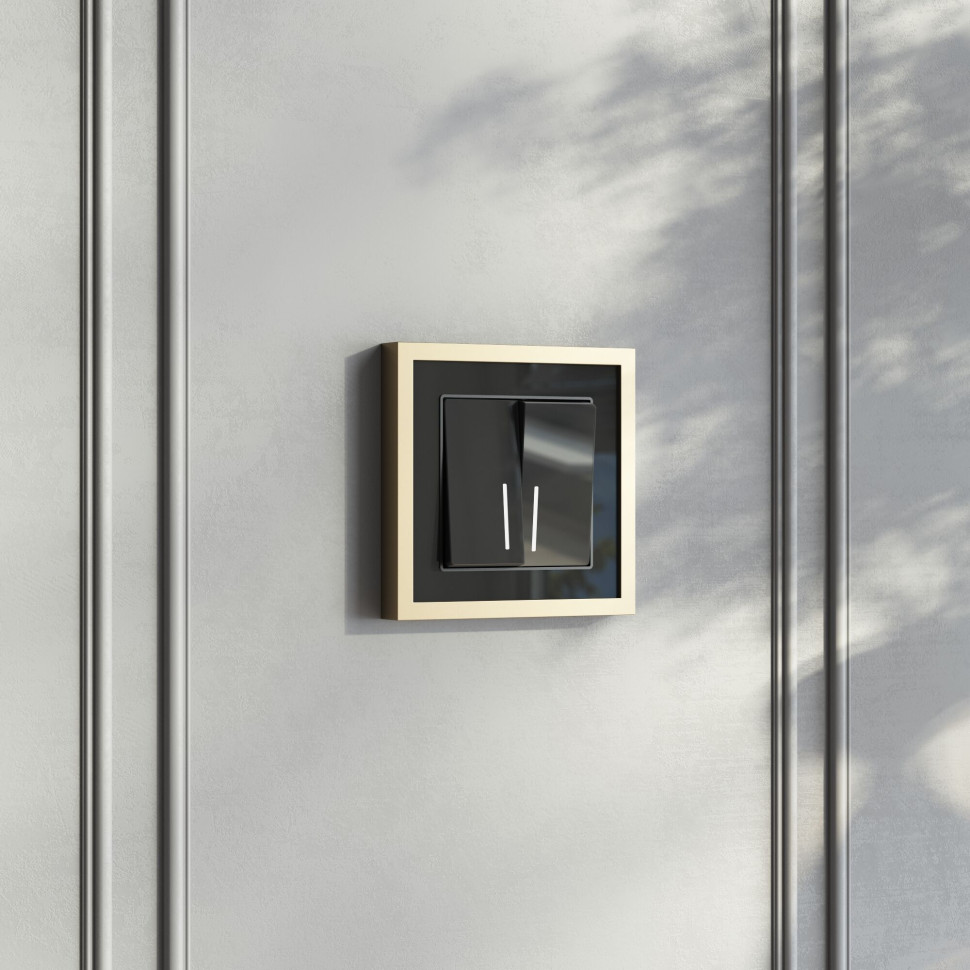 Выключатель двухклавишный с подсветкой (черный акрил) W1120148