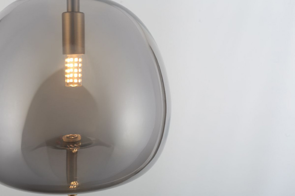 Подвесной светильник Rivoli Claire 6137-101 Б0061905