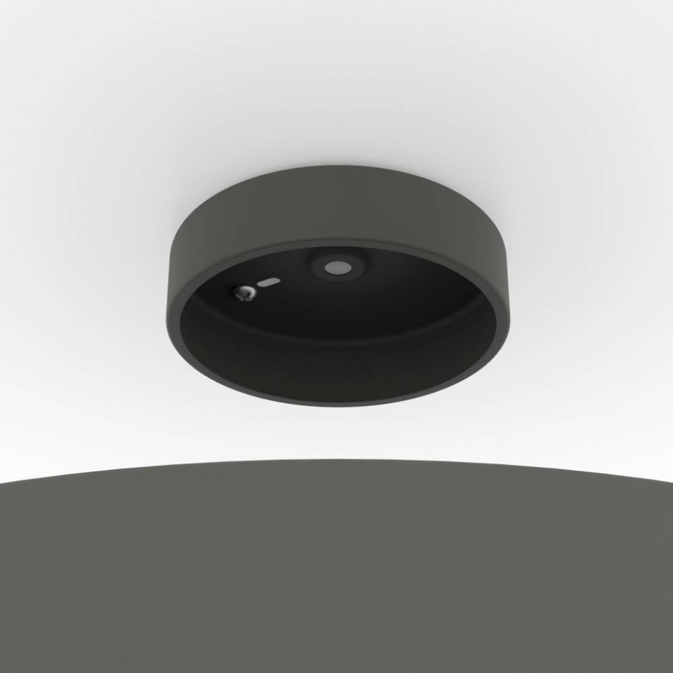 Потолочный светильник Eglo Duaia 901745