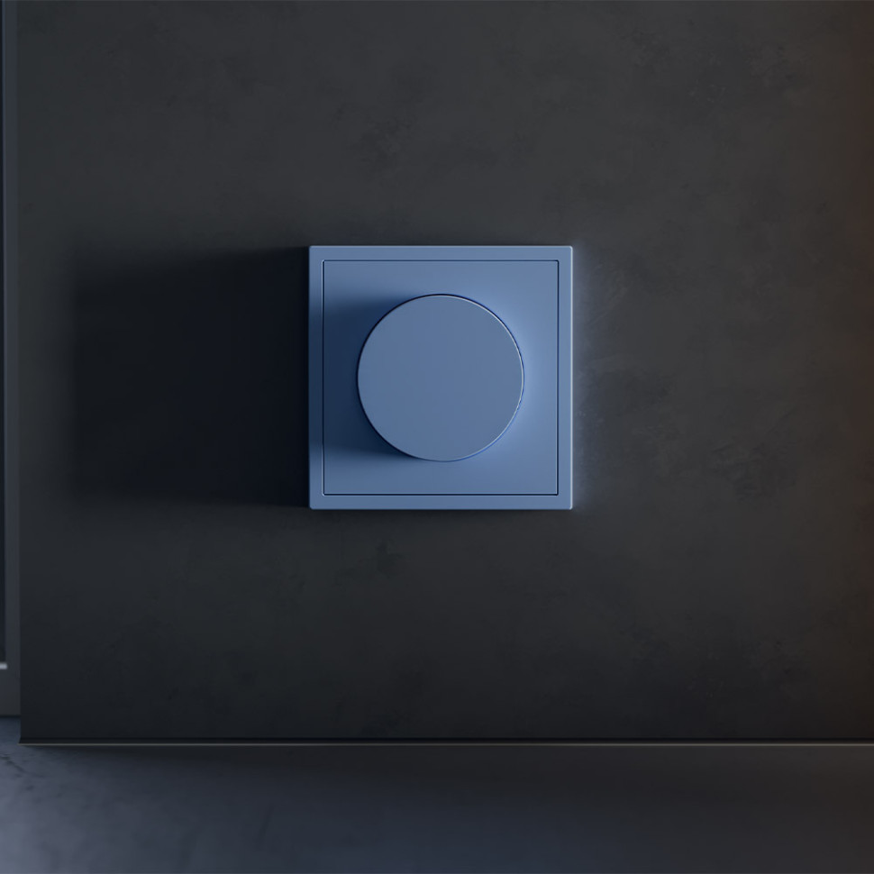 Накладка для светорегулятора поворотно-нажимного, S70 (деним)