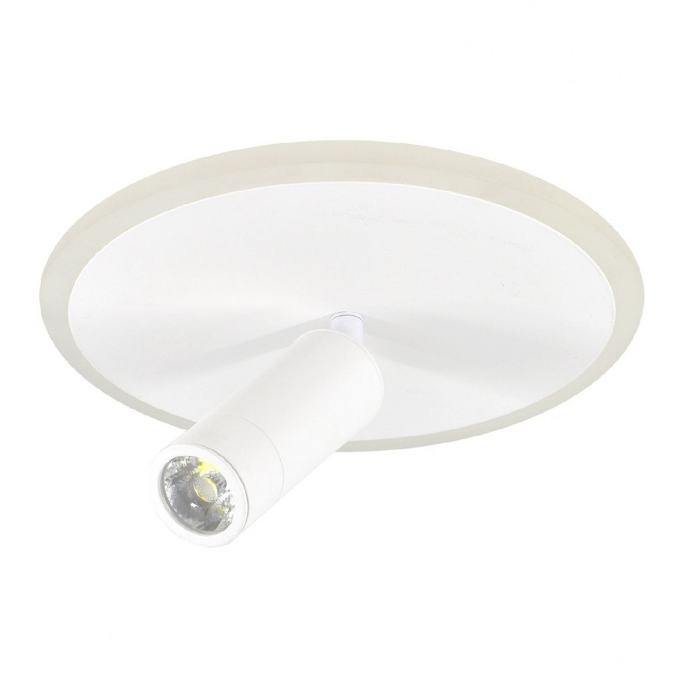 Настенно-потолочный светильник Escada 20046SMA/01LED WH