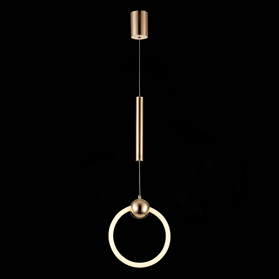 Подвесной светодиодный светильник ST Luce Giera SL1578.203.01