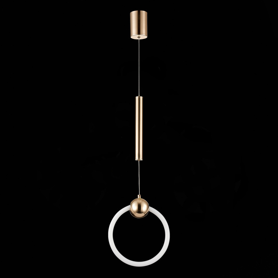 Подвесной светодиодный светильник ST Luce Giera SL1578.203.01