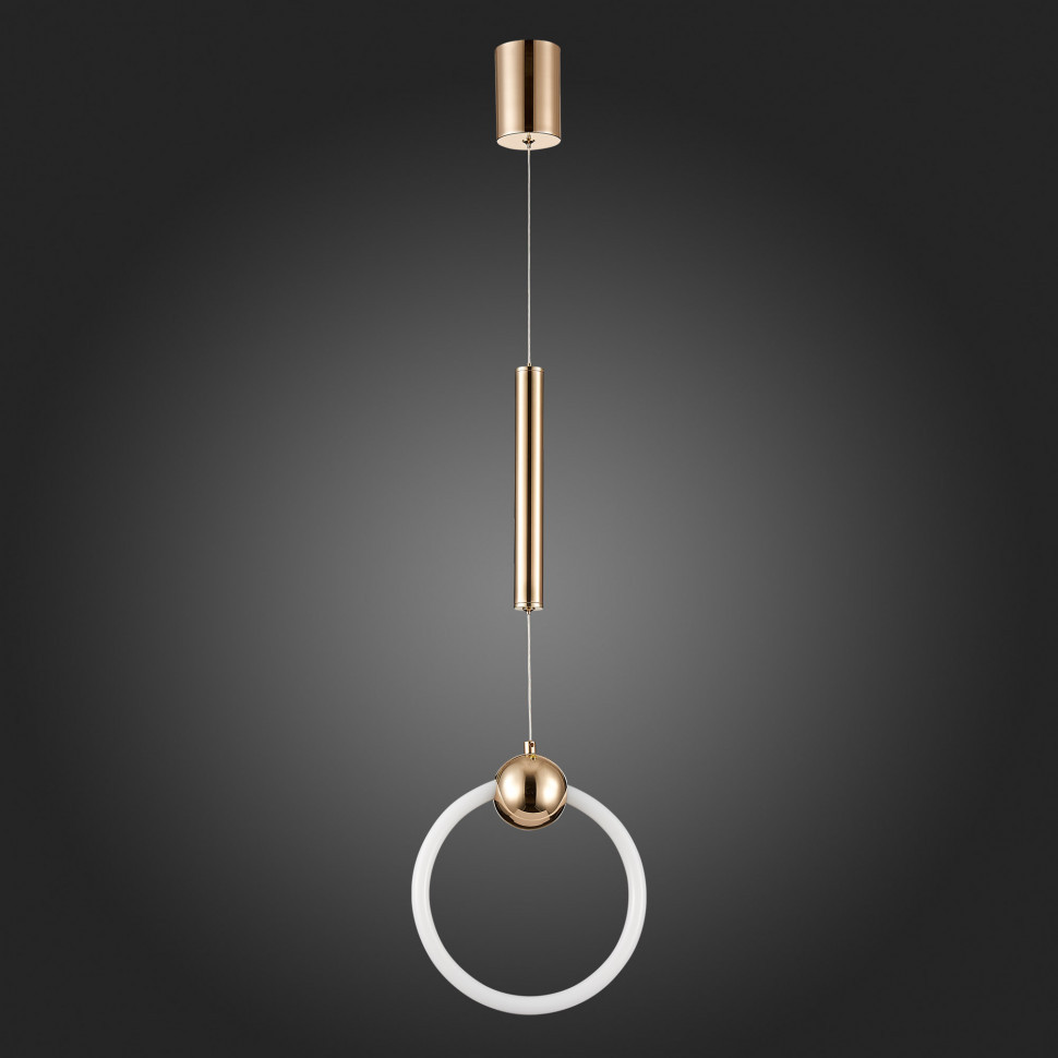 Подвесной светодиодный светильник ST Luce Giera SL1578.203.01