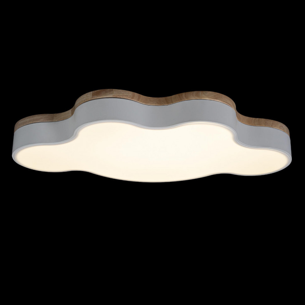 Потолочный светильник Loft IT AXEL 10005/36 White