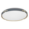 Потолочный светильник Lumina Deco Paneli LDC 8063-48W BL