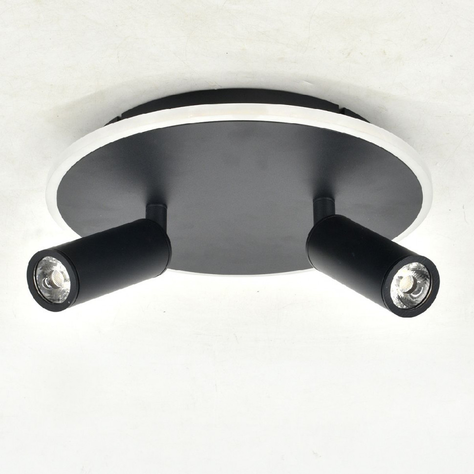 Настенно-потолочный светильник Escada 20046SMA/02LED BK