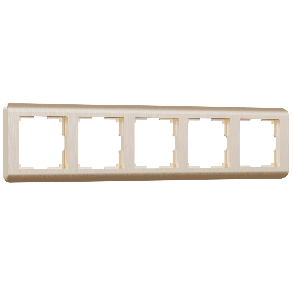 Рамка из поликарбоната на 5 постов Stream шампань W0052111