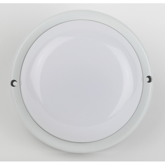 Настенно-потолочный светильник Эра SPB-201-2-65K-018 Б0054582