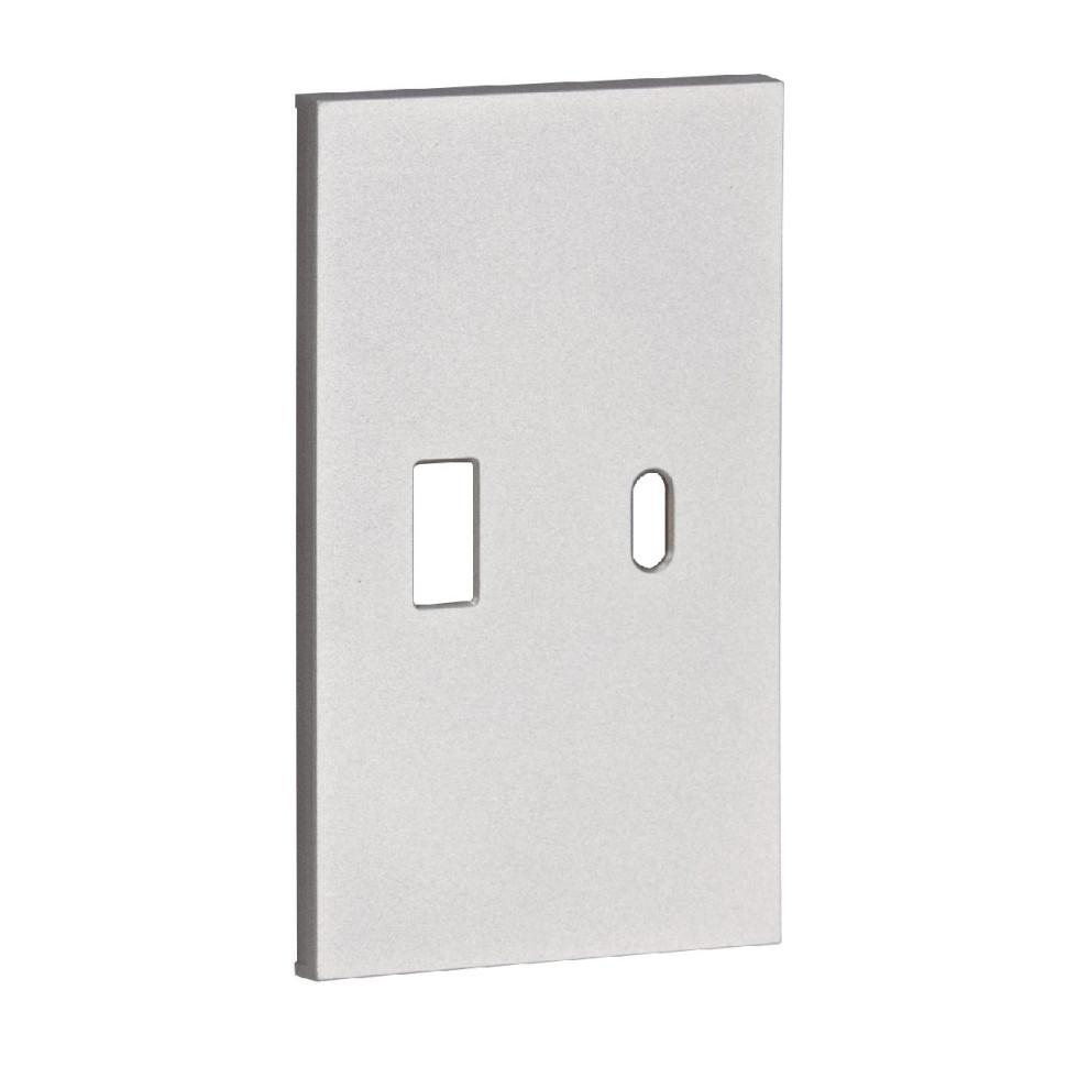 USB+type с накладкой 2-ух модульная цвет-серый матовый MEITON AS12C 