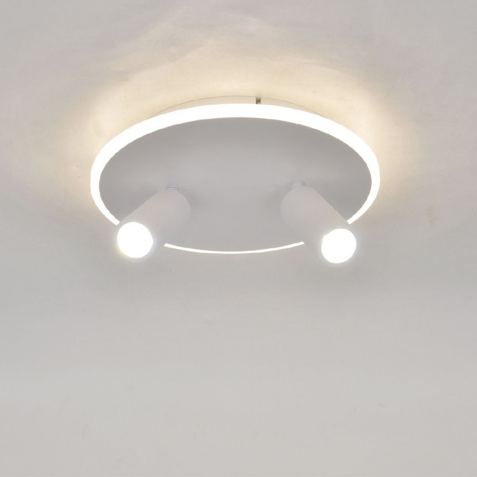 Настенно-потолочный светильник Escada 20046SMA/02LED WH