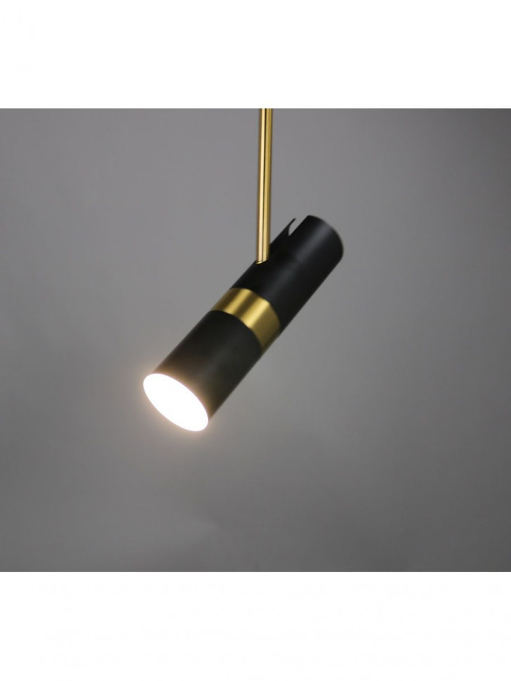 Подвесной светильник Zortes Tweeny ZRS.1828.30