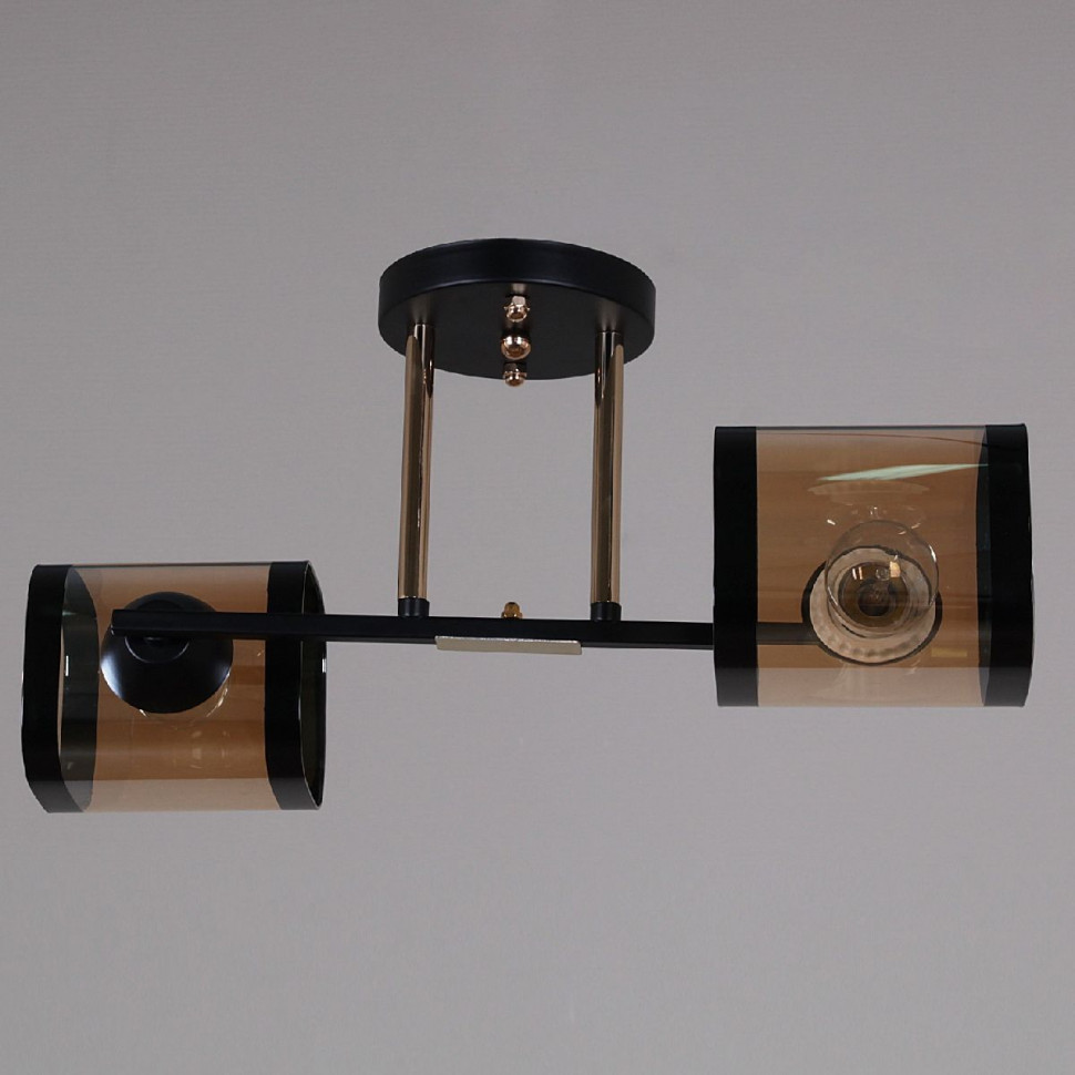 Потолочный светильник Reluce 09063-3.3-02 BK+FG