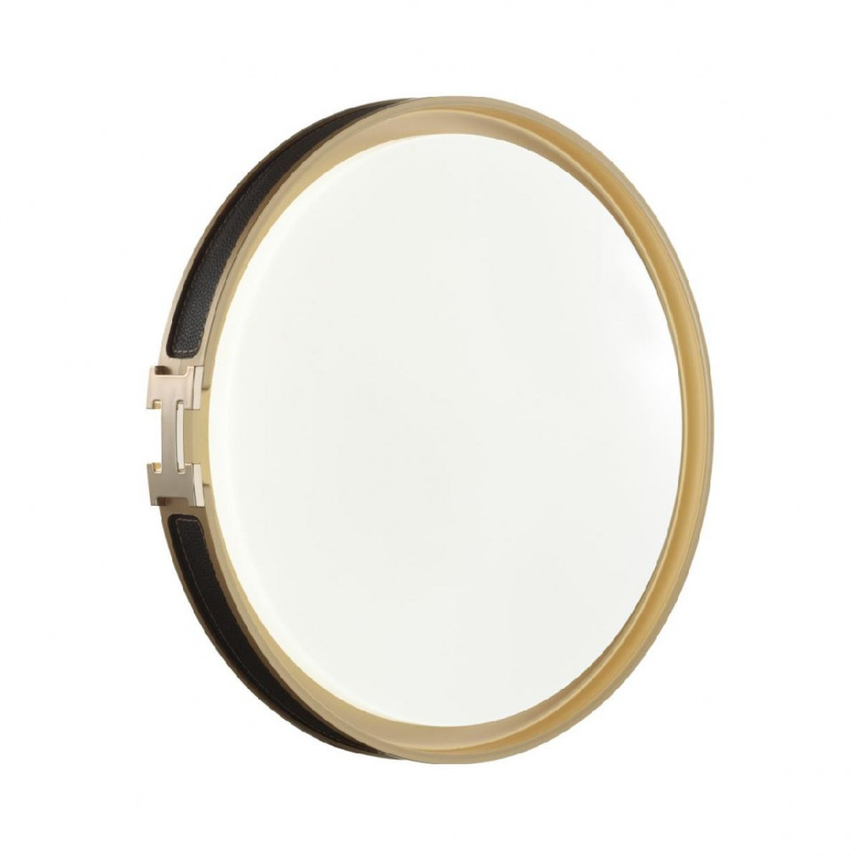 Потолочный светильник Sonex Favemo black 7667/DL