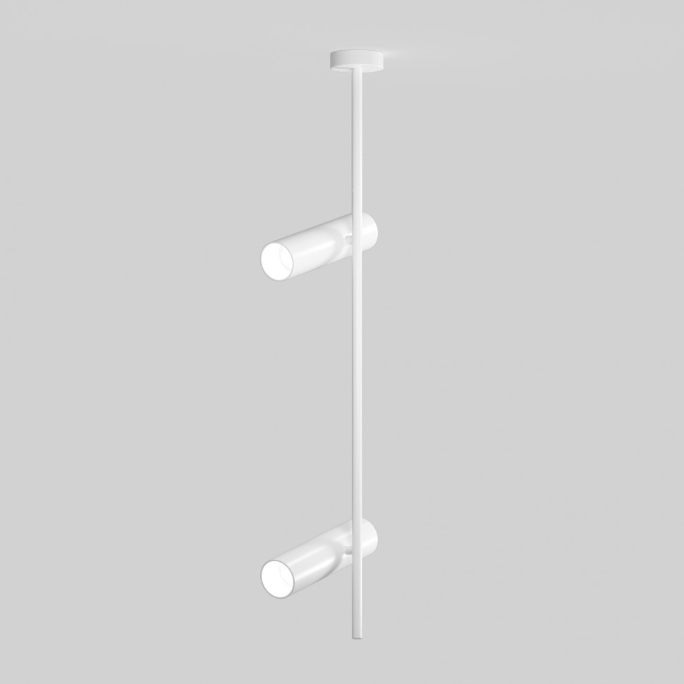 Потолочный светильник Technical C021CL-02W