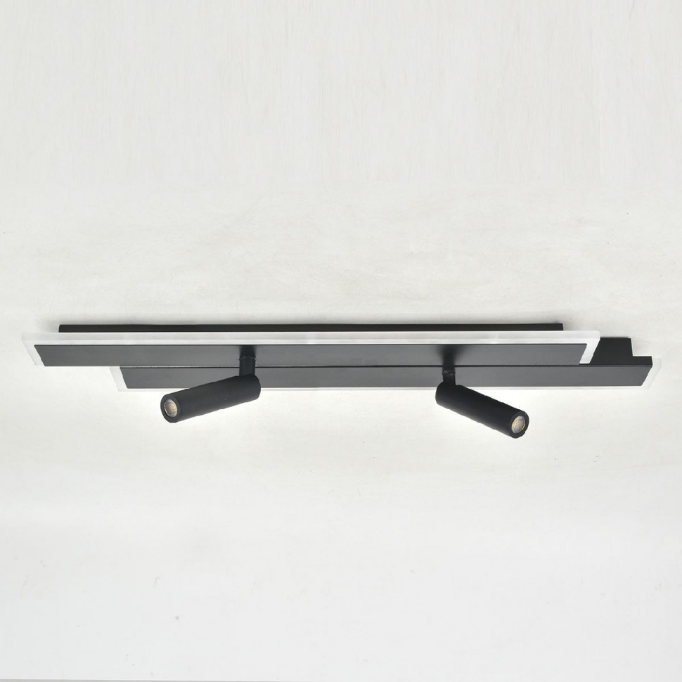 Потолочный светильник Escada 20047led 20047SMA/02LED BK