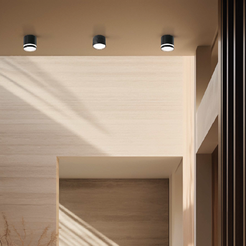 Накладной светильник Wolta Stella WSL-GX53/03BL