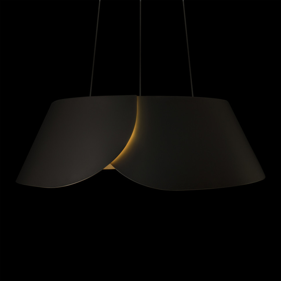 Подвесной светильник Loft IT Lane 10370P Black