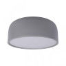 Потолочный светильник Loft IT Axel 10201/350 Grey