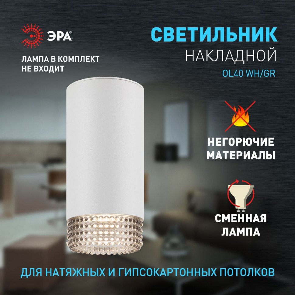 Накладной светильник Эра OL40 WH/GR Б0058478