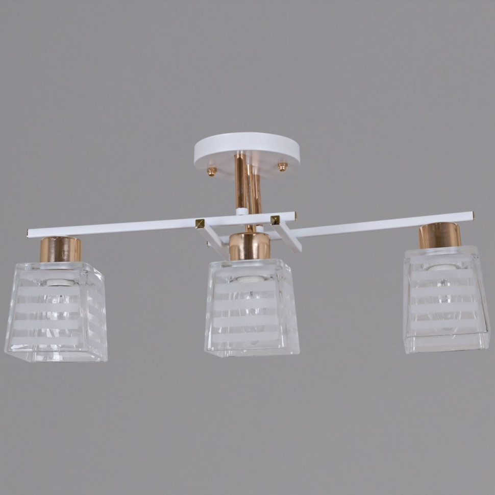 Потолочный светильник Reluce 09260-0.3-03 WH+FG