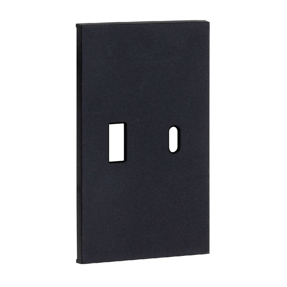 Usb+type c наклодкой 2--ух модульная цвет-черный матовый MEITON AG12C 