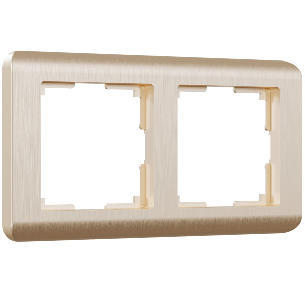 Рамка из поликарбоната на 2 поста Stream шампань W0022111