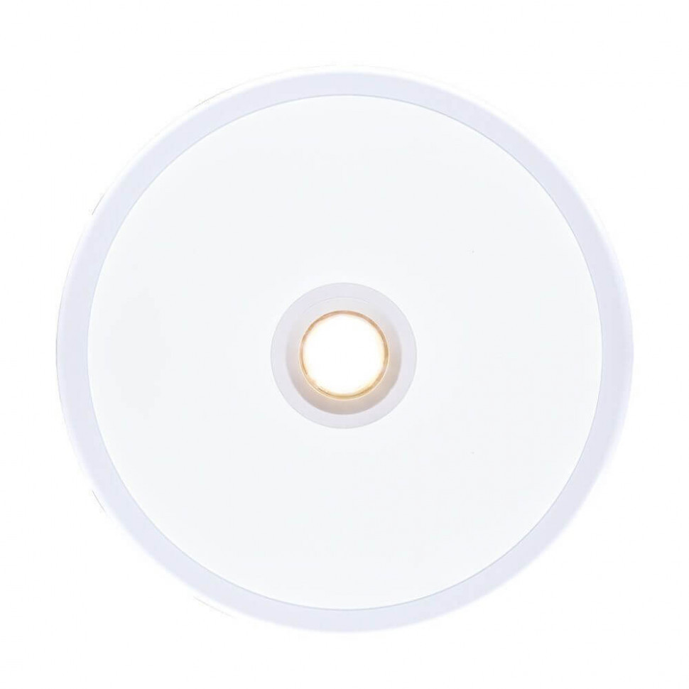 Встраиваемый светодиодный светильник Arte Lamp A2517PL-2WH