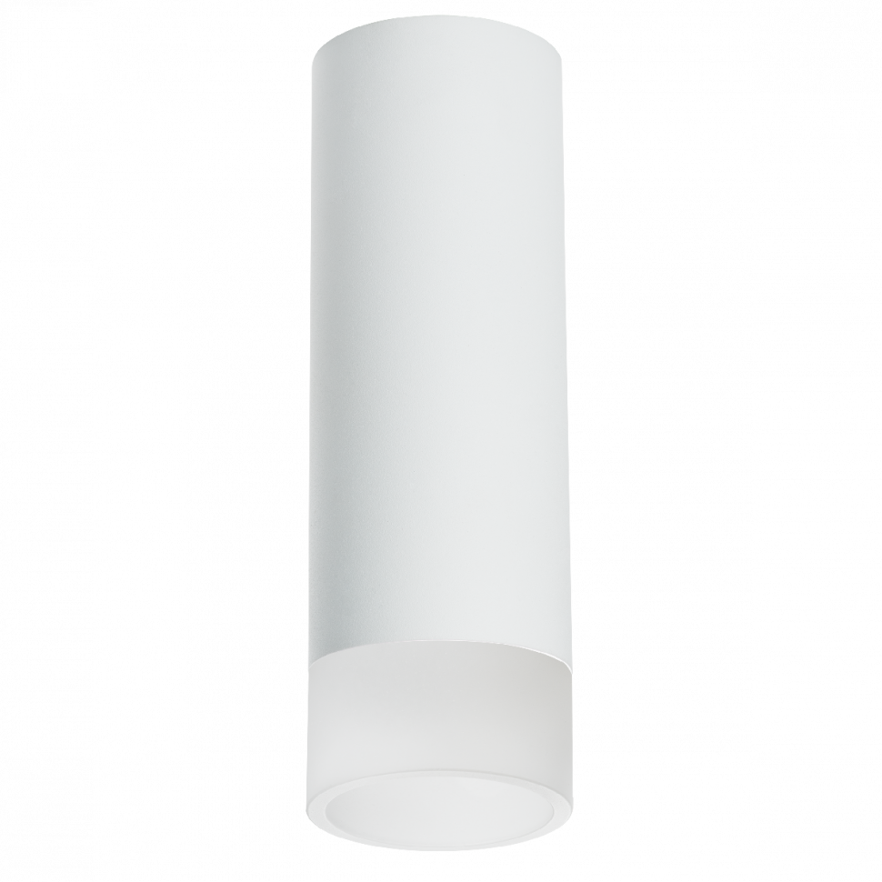 Накладной светильник Lightstar Rullo R48631 (214486+202431)