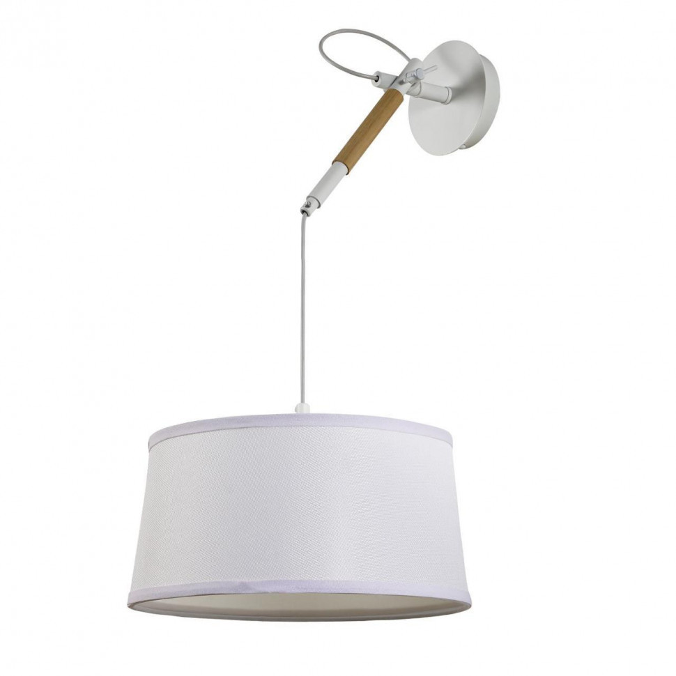 Настенно-потолочный светильник F-Promo Eureka 3005-1P