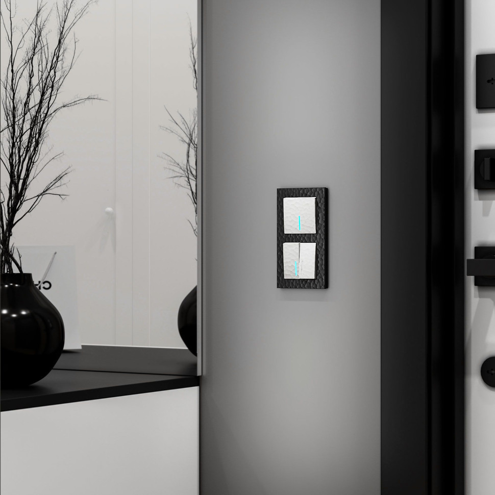 Рамка из поликарбоната на 2 поста Hammer черный W0022408