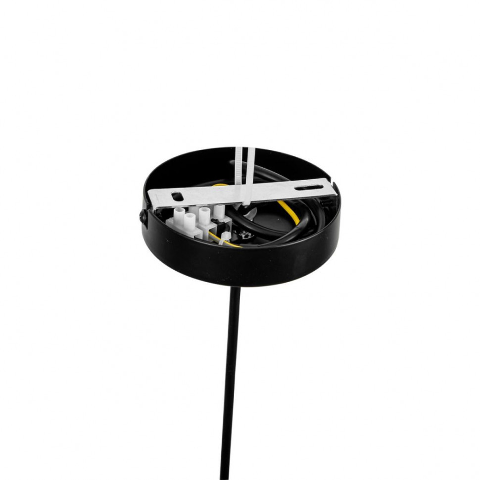 Подвесной светильник Lumion Moderni Tune 8302/1