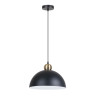 Подвесной светильник Arte Lamp Recinto A7053SP-1BK