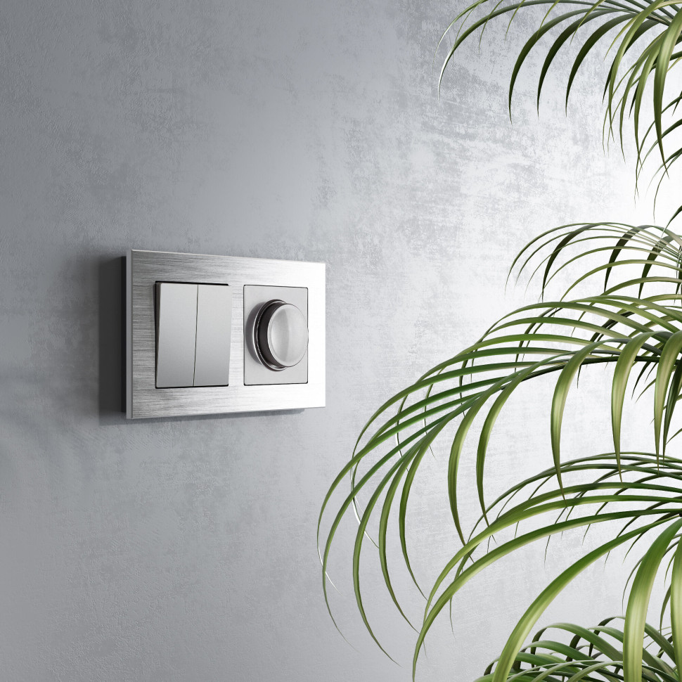 Перекрестный переключатель двухклавишный серебряный W1123008