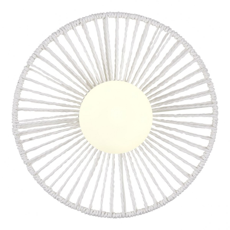 Настенный светильник Evoluce Loom SLE6022-501-01