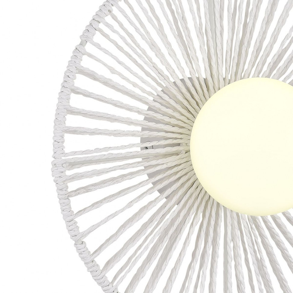 Настенный светильник Evoluce Loom SLE6022-501-01